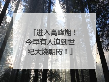 进入高峰期！今早有人追到世纪大烧朝霞！