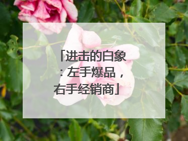 进击的白象：左手爆品，右手经销商