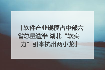 软件产业规模占中部六省总量逾半 湖北“软实力”引来杭州两小龙