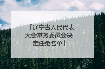 辽宁省人民代表大会常务委员会决定任免名单