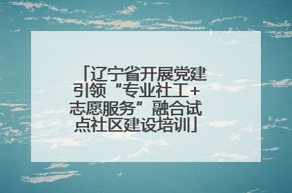 辽宁省开展党建引领“专业社工+志愿服务”融合试点社区建设培训