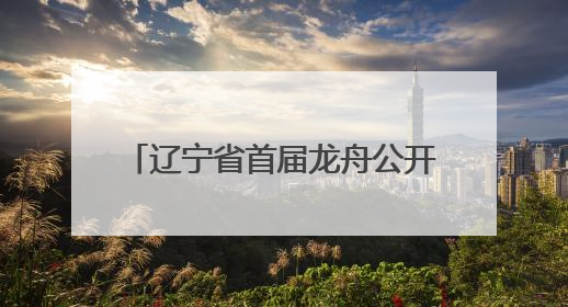 辽宁省首届龙舟公开赛浑河启幕 700余名选手同场竞技