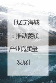 辽宁海城：推动菱镁产业高质量发展