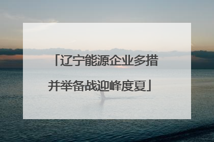 辽宁能源企业多措并举备战迎峰度夏