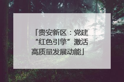 贵安新区：党建“红色引擎”激活高质量发展动能