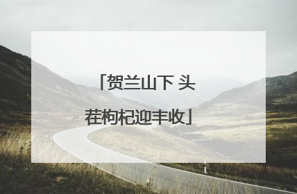贺兰山下 头茬枸杞迎丰收