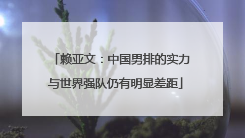 赖亚文：中国男排的实力与世界强队仍有明显差距
