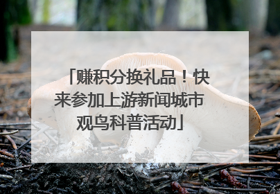 赚积分换礼品！快来参加上游新闻城市观鸟科普活动