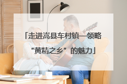 走进嵩县车村镇—领略“黄精之乡”的魅力