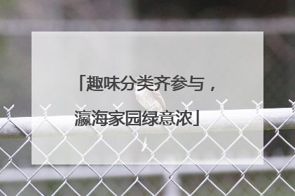 趣味分类齐参与，瀛海家园绿意浓