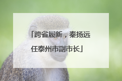 跨省履新，秦扬远任泰州市副市长