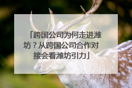 跨国公司为何走进潍坊？从跨国公司合作对接会看潍坊引力