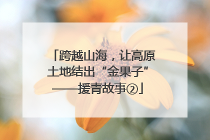 跨越山海，让高原土地结出“金果子”——援青故事②
