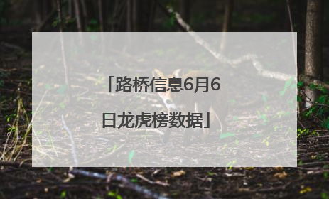 路桥信息6月6日龙虎榜数据