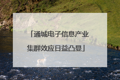 通城电子信息产业集群效应日益凸显