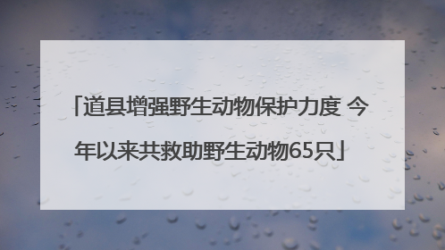 道县增强野生动物保护力度 今年以来共救助野生动物65只