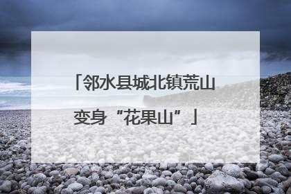 邻水县城北镇荒山变身“花果山”