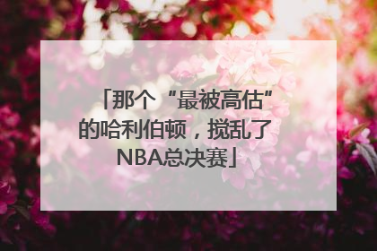 那个“最被高估”的哈利伯顿，搅乱了NBA总决赛
