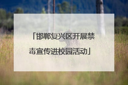 邯郸复兴区开展禁毒宣传进校园活动
