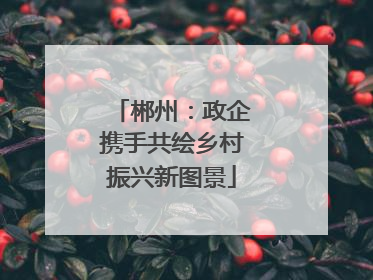 郴州：政企携手共绘乡村振兴新图景