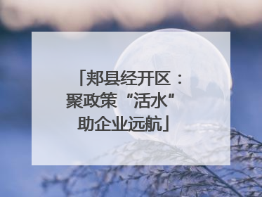 郏县经开区：聚政策“活水” 助企业远航