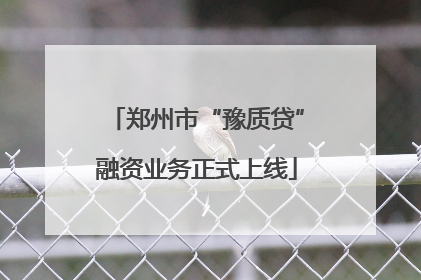 郑州市“豫质贷”融资业务正式上线