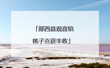 郧西县观音镇桃子喜获丰收