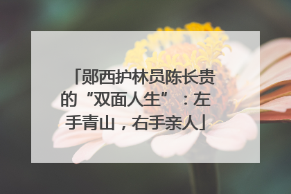 郧西护林员陈长贵的“双面人生”：左手青山，右手亲人