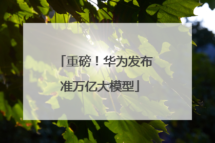 重磅！华为发布准万亿大模型