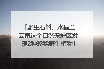 野生石斛、水晶兰，云南这个自然保护区发现2种珍稀野生植物