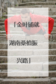 金叶铺就湖南桑植振兴路