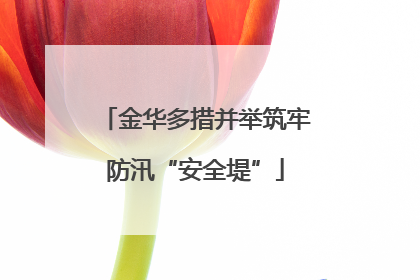 金华多措并举筑牢防汛“安全堤”