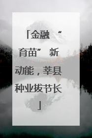 金融 “育苗” 新动能，莘县种业拔节长
