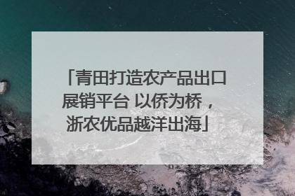 青田打造农产品出口展销平台 以侨为桥，浙农优品越洋出海