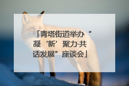 青塔街道举办“凝‘新’聚力·共话发展”座谈会