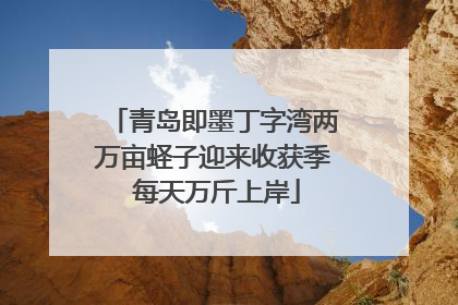 青岛即墨丁字湾两万亩蛏子迎来收获季 每天万斤上岸