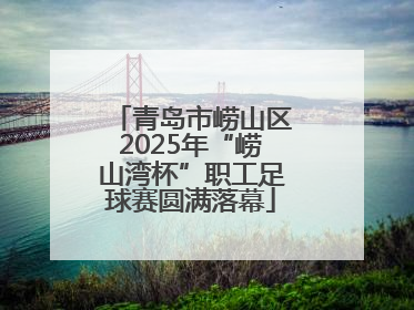 青岛市崂山区2025年“崂山湾杯”职工足球赛圆满落幕