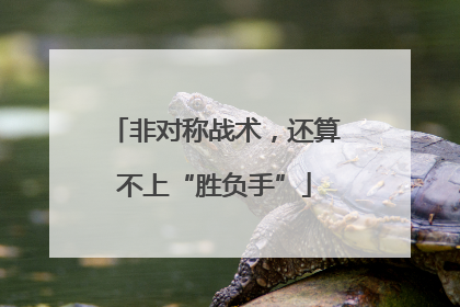 非对称战术，还算不上“胜负手”