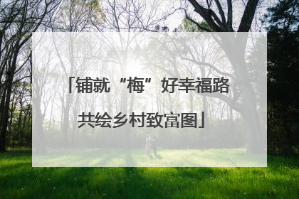 铺就“梅”好幸福路 共绘乡村致富图