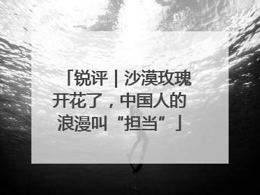 锐评｜沙漠玫瑰开花了，中国人的浪漫叫“担当”