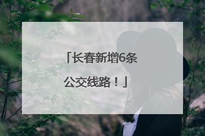 长春新增6条公交线路！