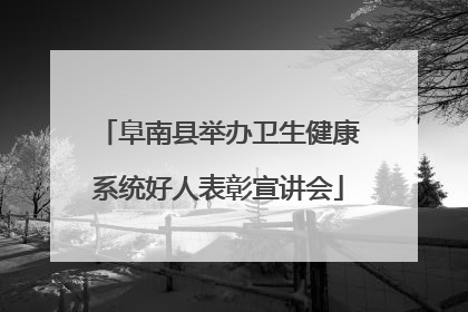 阜南县举办卫生健康系统好人表彰宣讲会