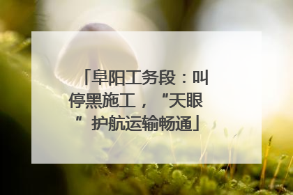 阜阳工务段：叫停黑施工，“天眼”护航运输畅通