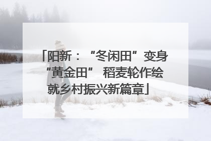 阳新：“冬闲田”变身“黄金田” 稻麦轮作绘就乡村振兴新篇章