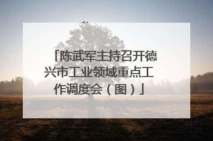 陈武军主持召开德兴市工业领域重点工作调度会（图）