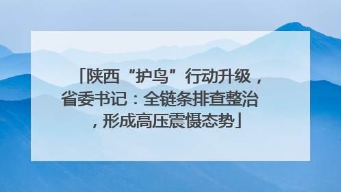 陕西“护鸟”行动升级，省委书记：全链条排查整治，形成高压震慑态势
