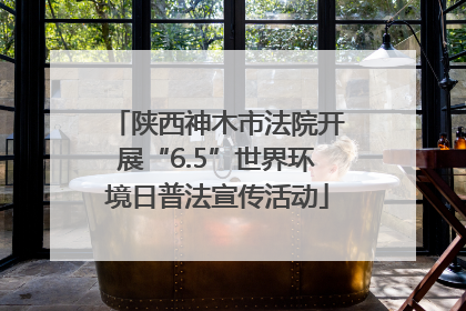 陕西神木市法院开展“6.5”世界环境日普法宣传活动