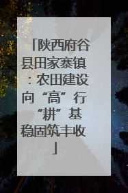 陕西府谷县田家寨镇：农田建设向“高”行 “耕”基稳固筑丰收