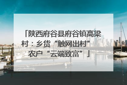 陕西府谷县府谷镇高梁村：乡货“触网出村” 农户“云端致富”