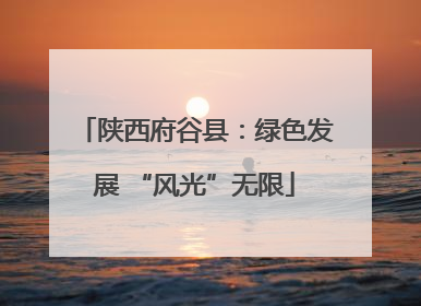 陕西府谷县：绿色发展 “风光”无限